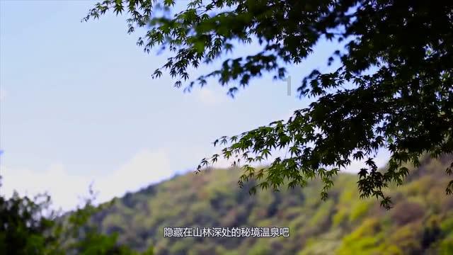 538600用万作单位再保留两位小数？游戏画面
