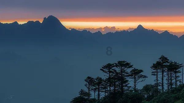 生化危机4