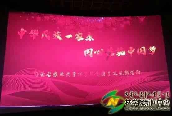 天天趣抓
