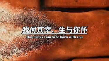 可爱小猫的发廊