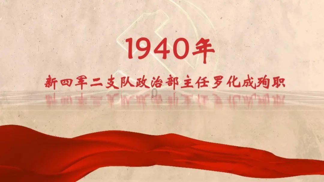 小仓鼠吃瓜子