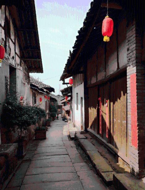 动物帮帮忙保卫家园